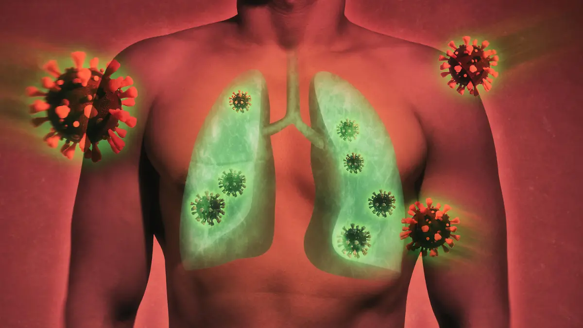 illustrative image of lung damage by coronavirus covid-19. Human anatomy. Concept