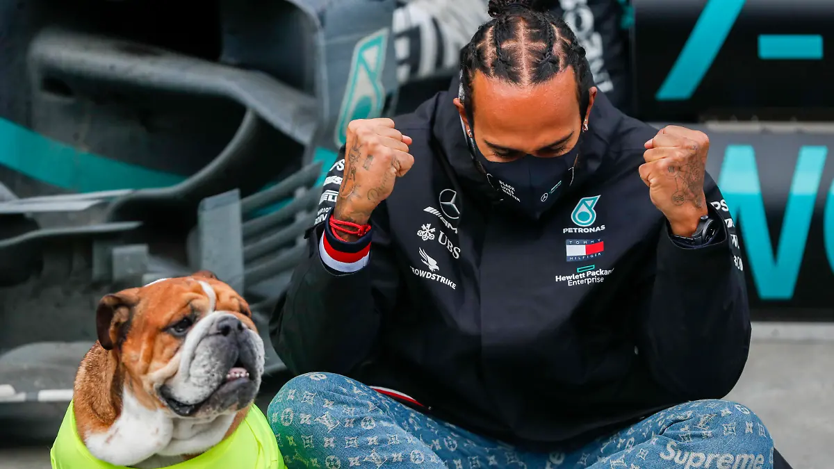  2020 Turkish GP ISTANBUL PARK, TURKEY - NOVEMBER 15: Lewis Hamilton, Mercedes-AMG Petronas F1, 1st position, his dog Roscoe, and the Mercedes team celebrate after having secured a seventh world drivers championship title during the Turkish GP at Istanbul Park on Sunday November 15, 2020, Turkey. Photo by Charles Coates / LAT Images Images PUBLICATIONxINxGERxSUIxAUTxHUNxONLY GP2014_135858_N3I2023