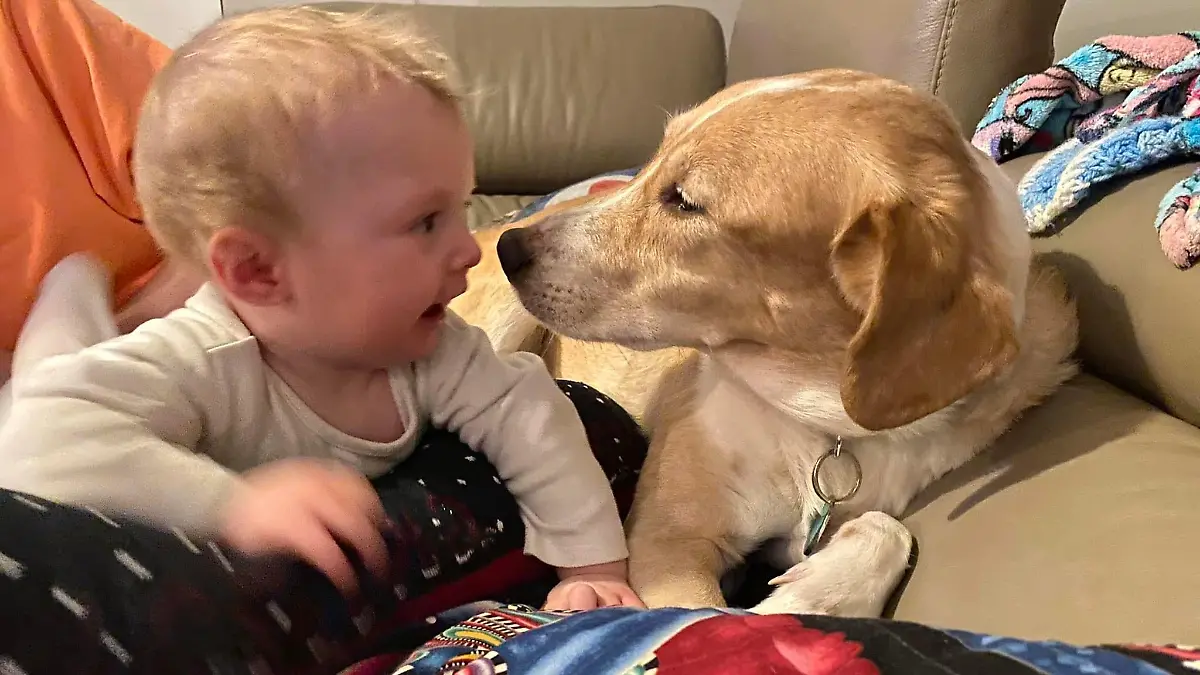 Ein Baby und ein Hund