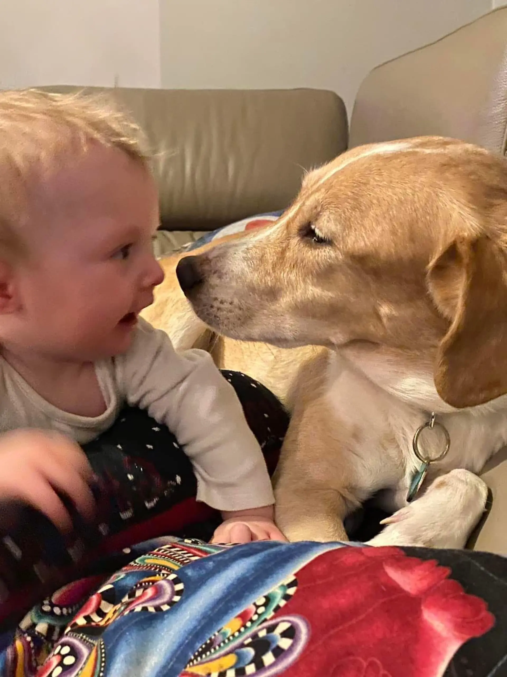 Ein Baby und ein Hund