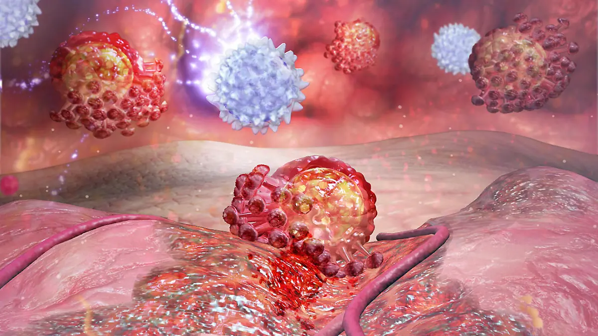 White cells (helper -T) against virus