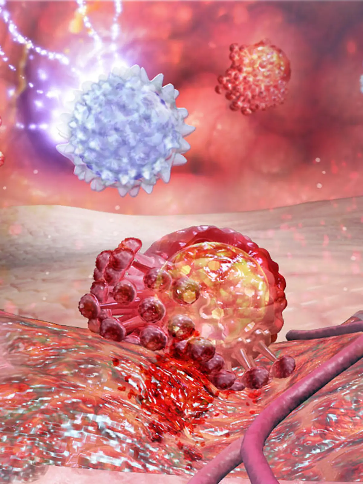 White cells (helper -T) against virus