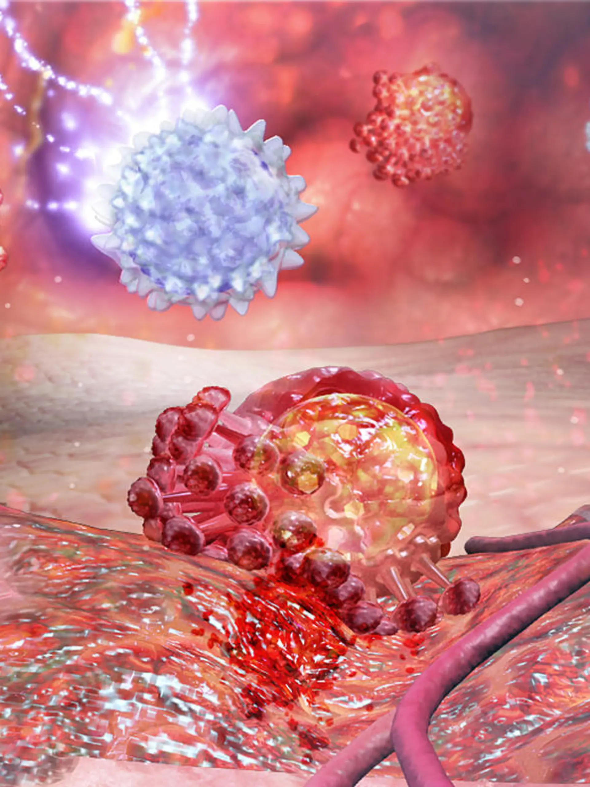 White cells (helper -T) against virus