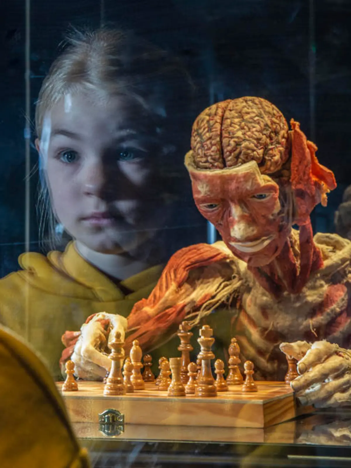 Besucher begutachten ein Exponat der Körperwelten-Ausstellung