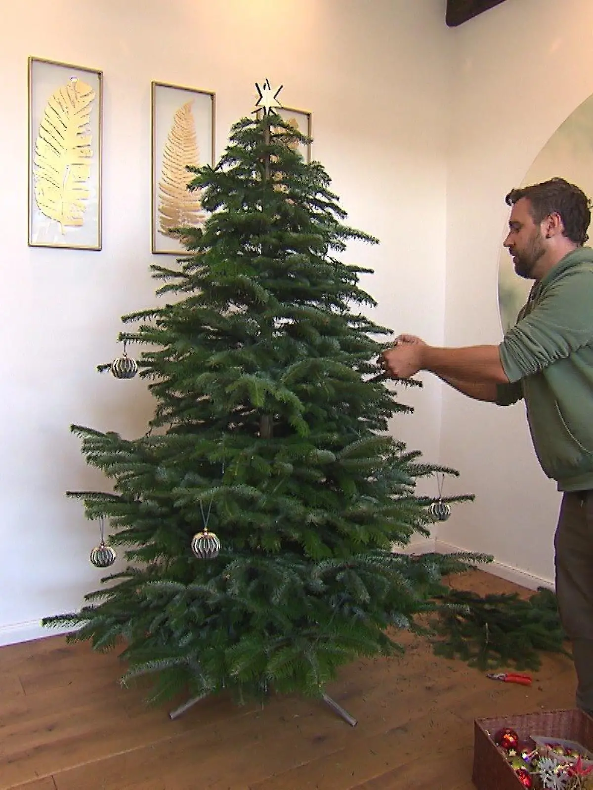 Bild zu: ""Keinachtsbaum" für die Festtage?"
