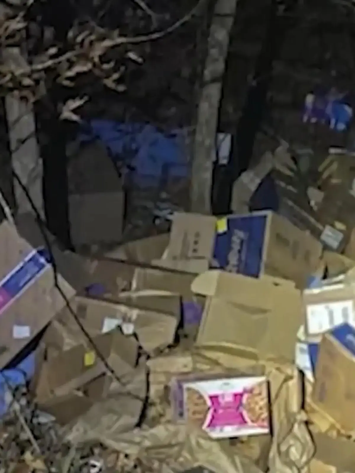 Bild zu: "FedEx-Fahrer entsorgt Pakete im Wald "