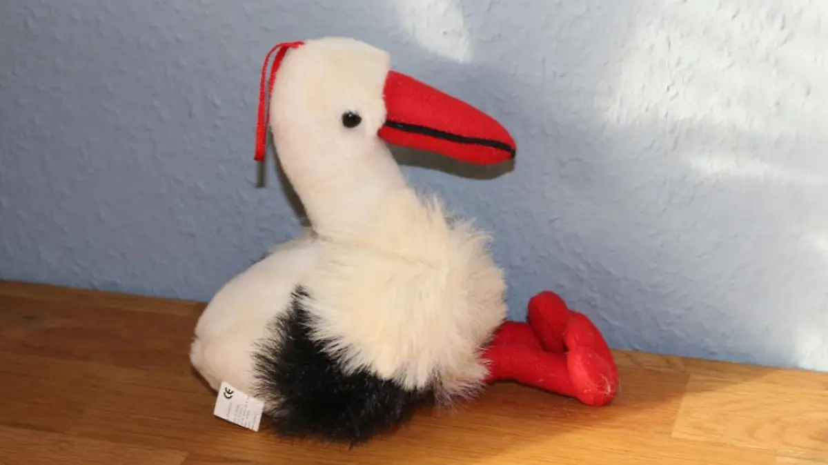 Storch Adebar ist nach einem gescheiterten Flugversuch traumatisiert