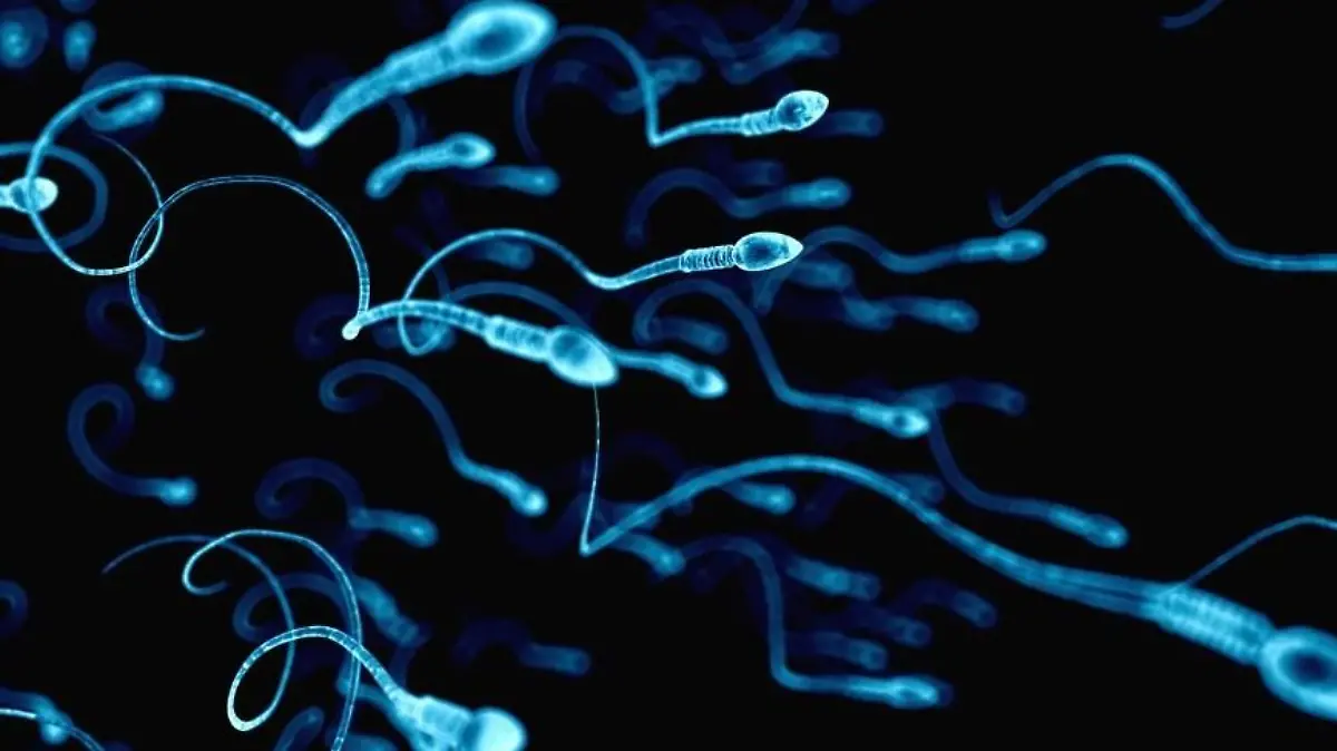 SPERMA