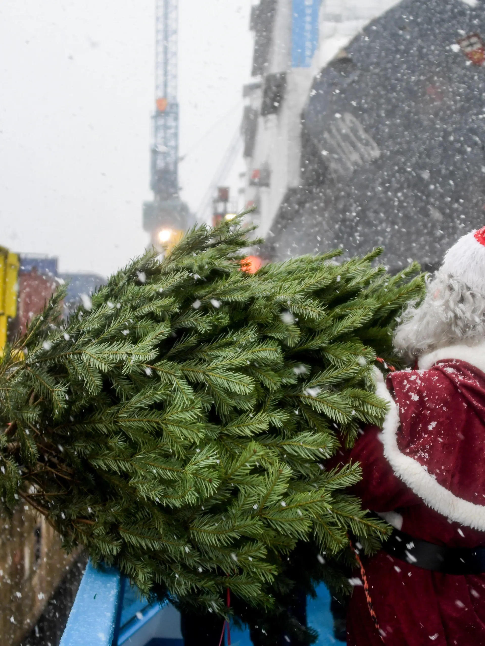 Ein Weihnachtsmann überreicht am 08.12.2017 in Hamburg der Besatzung des Einsatzgruppenversorgers "Berlin" der Bundeswehr einen Weihnachtsbaum. Traditionell werden in jedem Jahr Weihnachtsbäume für die Schiffe im Hamburger Hafen verschenkt. Foto: Axel Heimken/dpa +++(c) dpa - Bildfunk+++