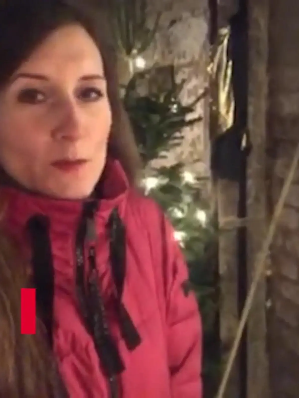Bild zu: "Weihnachtsbäume für die Flutopfer"