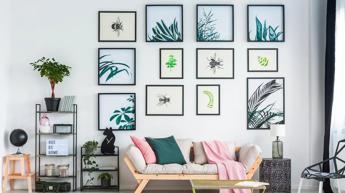 Two cushions and pink blanket placed on the couch standing in white living room interior with plants and books on black metal racks, simple posters hanging on the wall and gold table standing in the middle