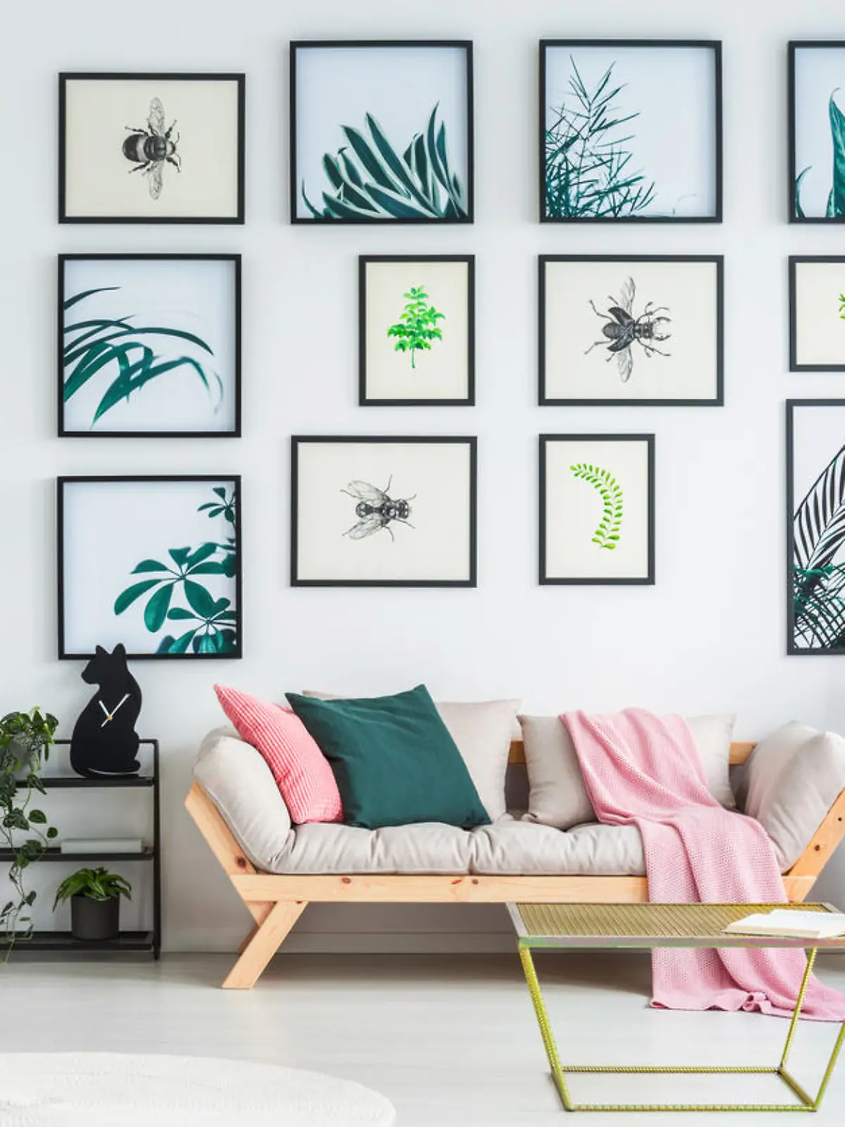 Two cushions and pink blanket placed on the couch standing in white living room interior with plants and books on black metal racks, simple posters hanging on the wall and gold table standing in the middle