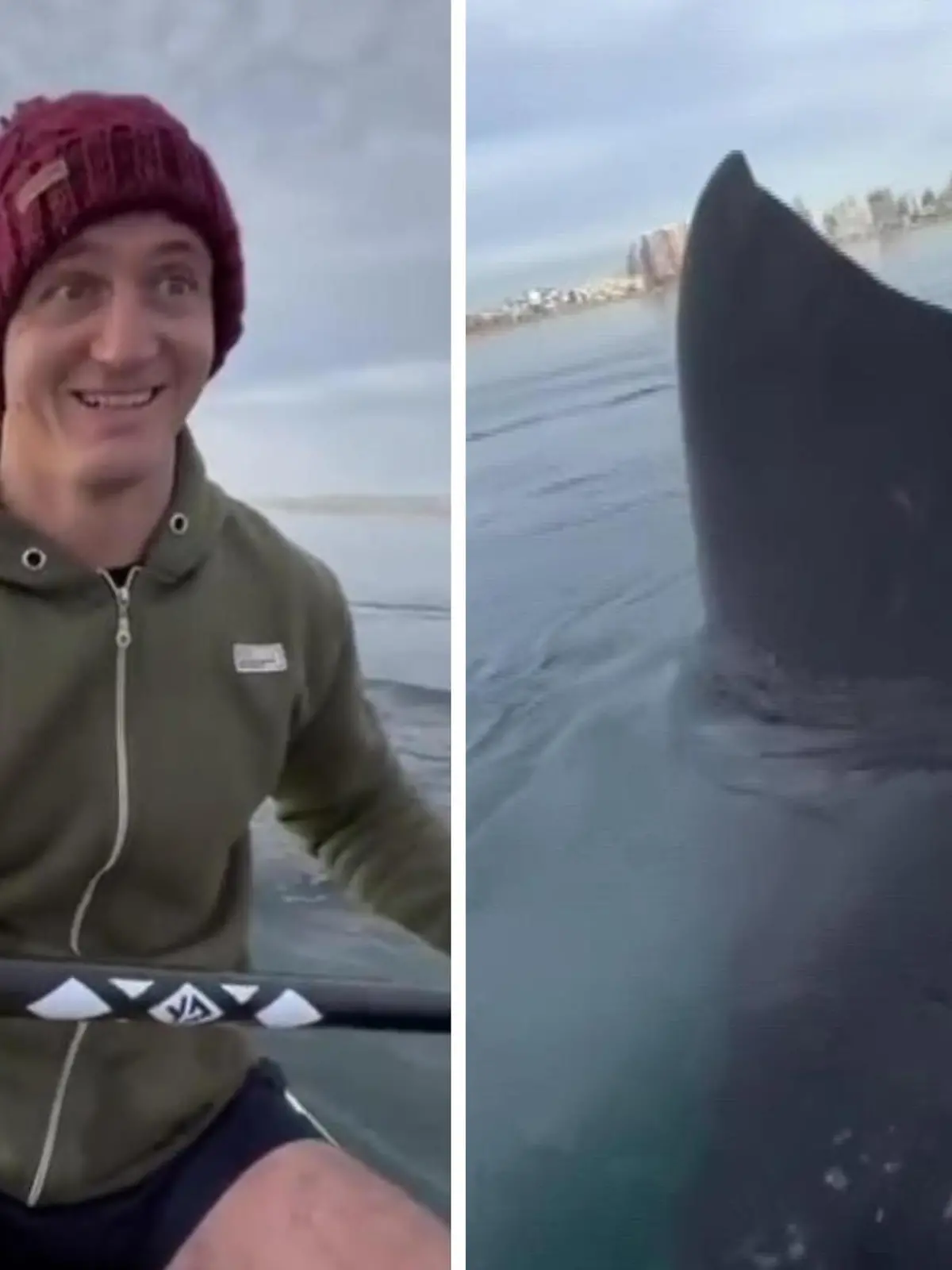 Eine Tour in einem Kayak durch den Atlantischen Ozean ist schon spannend genug – wenn dann noch drei Wale in direkter Nähe dazukommen, geht manchen Menschen die Pumpe. So auch bei Paolo Osta, der in diesem Clip dabei gefilmt wird, wie die drei XXL-Säugetiere auf Tuchfühlung gehen.