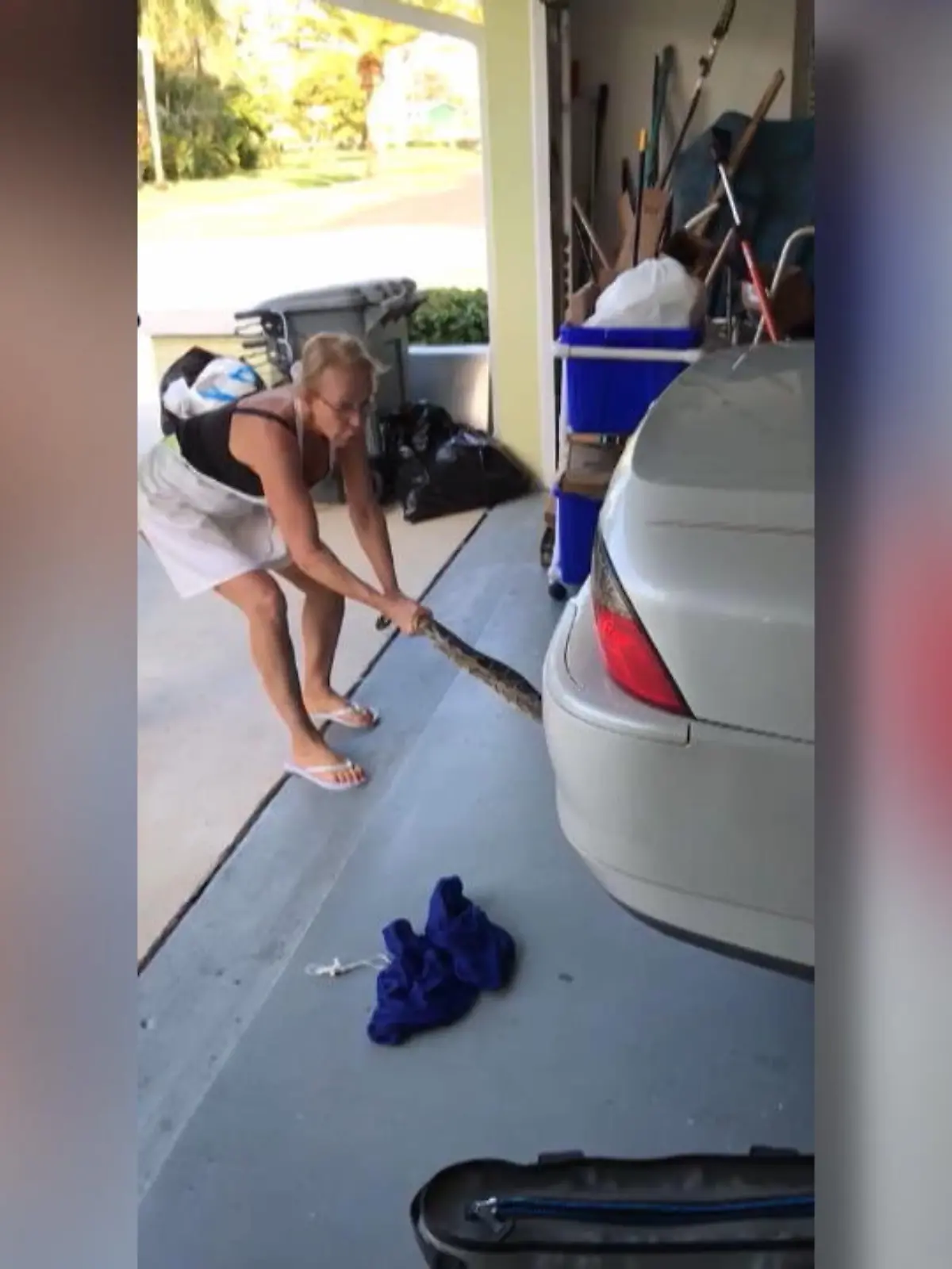 Hierzulande sorgen Spinnen bereits oft für Panik, darüber kann man in Florida nur müde Lächeln. Diese Python etwa hat sich in der  Radfelge eines Autos versteckt. Eine Frau versuchte das Tier, scheinbar vollkommen unbeeindruckt, zu entfernen. Aber erst ihr Sohn schafft es schließlich. Glücklicherweise ist weder der Schlage noch den Menschen etwas passiert.