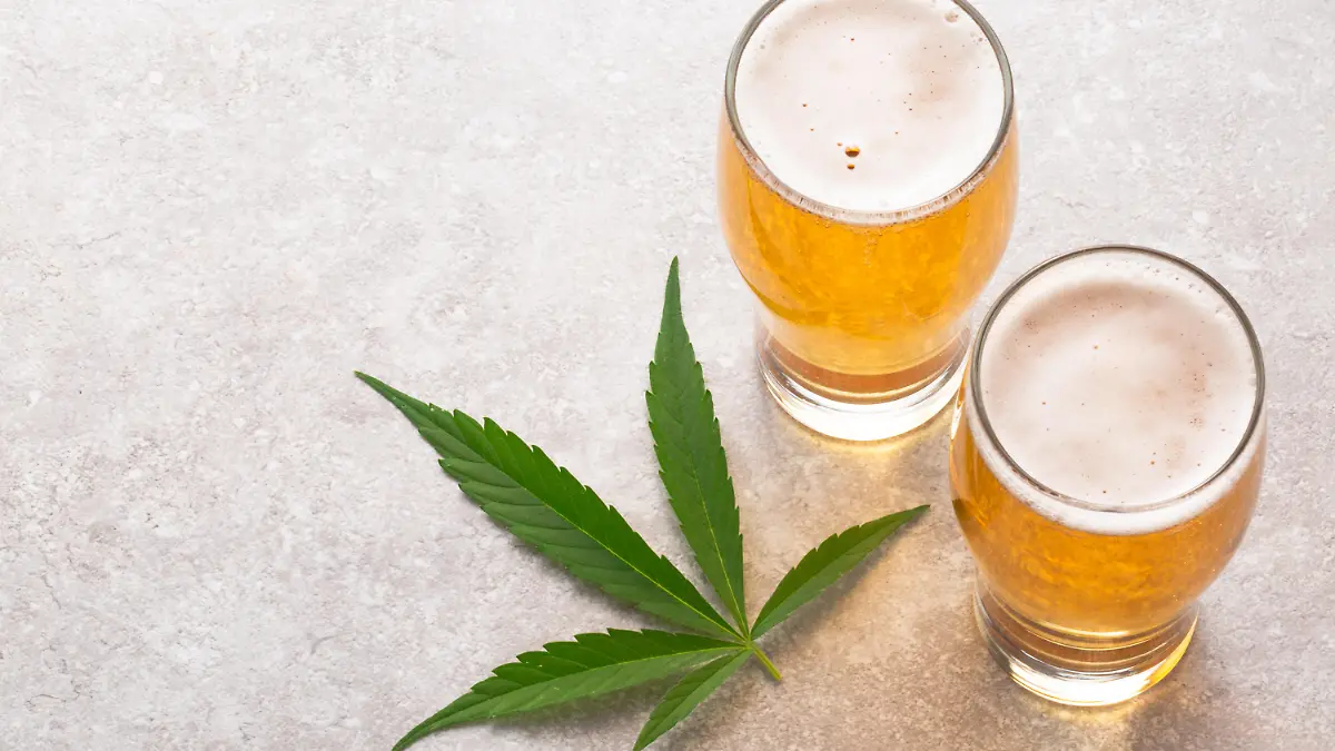 Cannabis infused Beer to get you high. Edibles are a popular way to get high without actually smoking. Since legalization of Marijuana in Canada, Uruguay and some US states, LP’s and companies are looking for different ways to provide consumers with a smoke-free high.