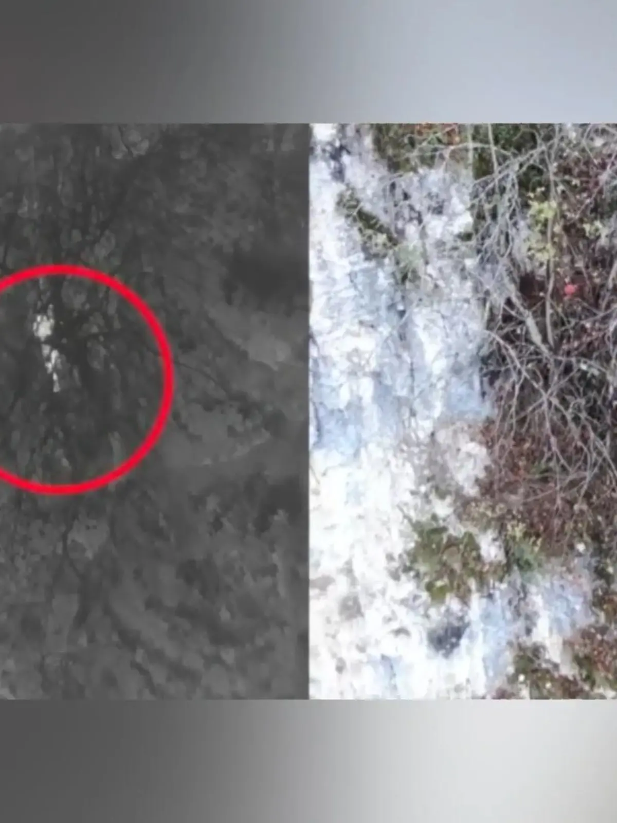 Dramatische Rettungsaktion in der kleinen mittelitalienischen Ortschaft Talia-kO-zo! Hilflos steckt dort ein Hund an einer 300 Meter hohen Felswand fest, eine Drohne mit Wärmebildkamera zeigt die missliche Lage.