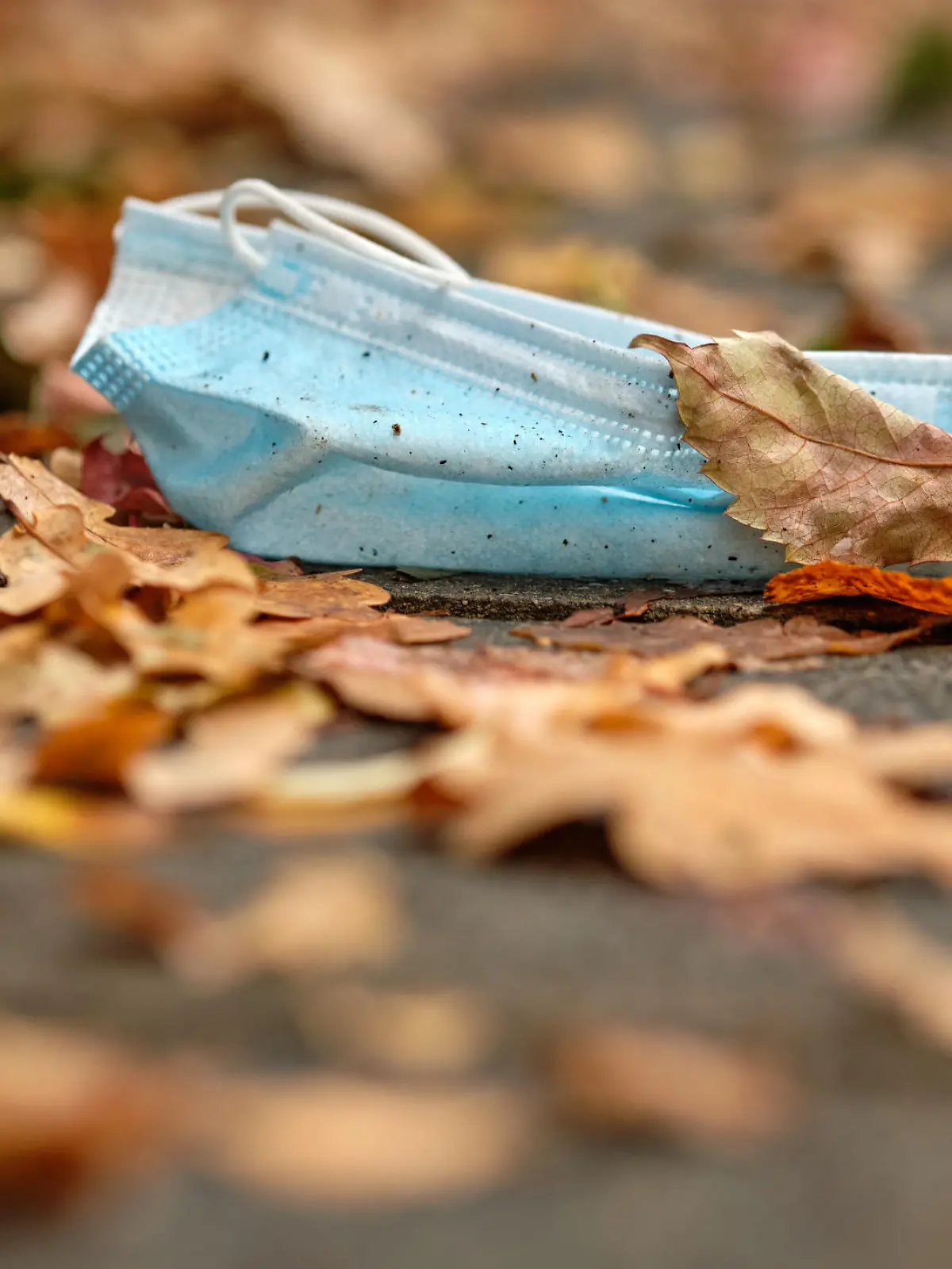 A thrown away dirty disposable face mask lying on the pavement under autumn leaves. Seen in Germany in October during corona crisis.