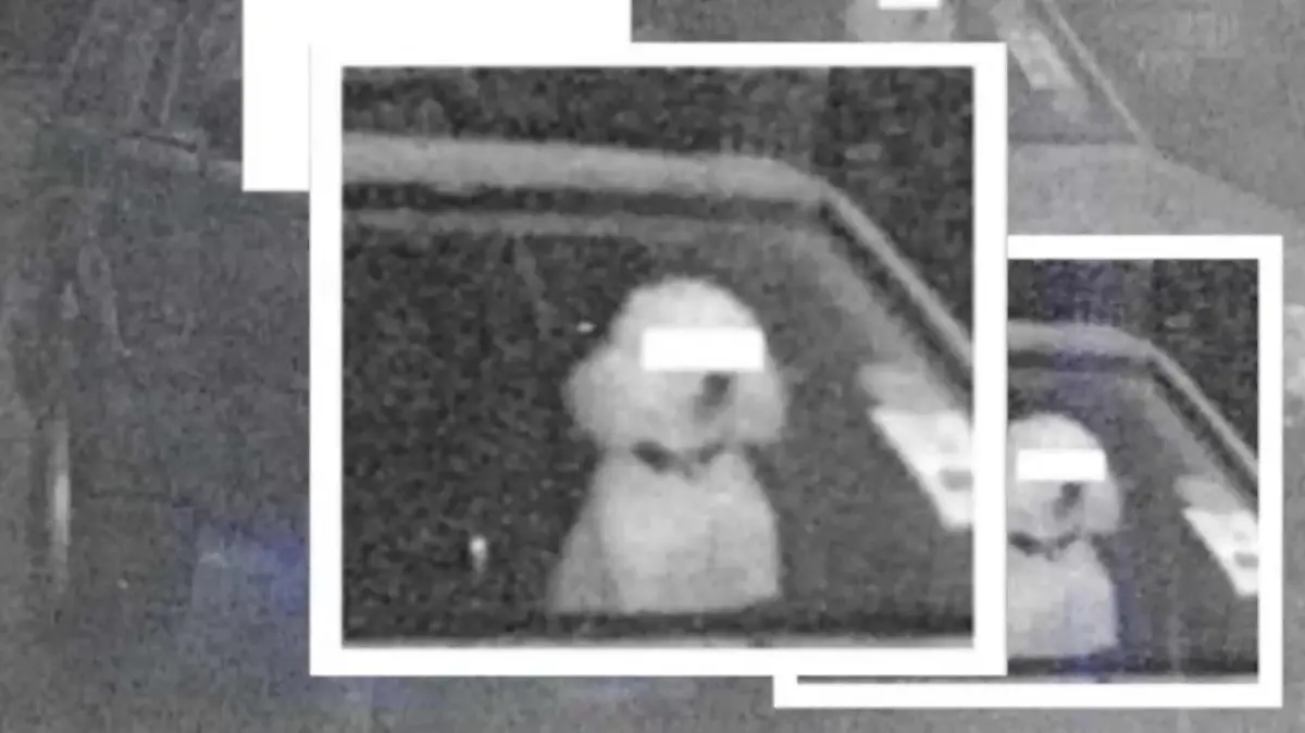 Ungewöhnliche Fotos