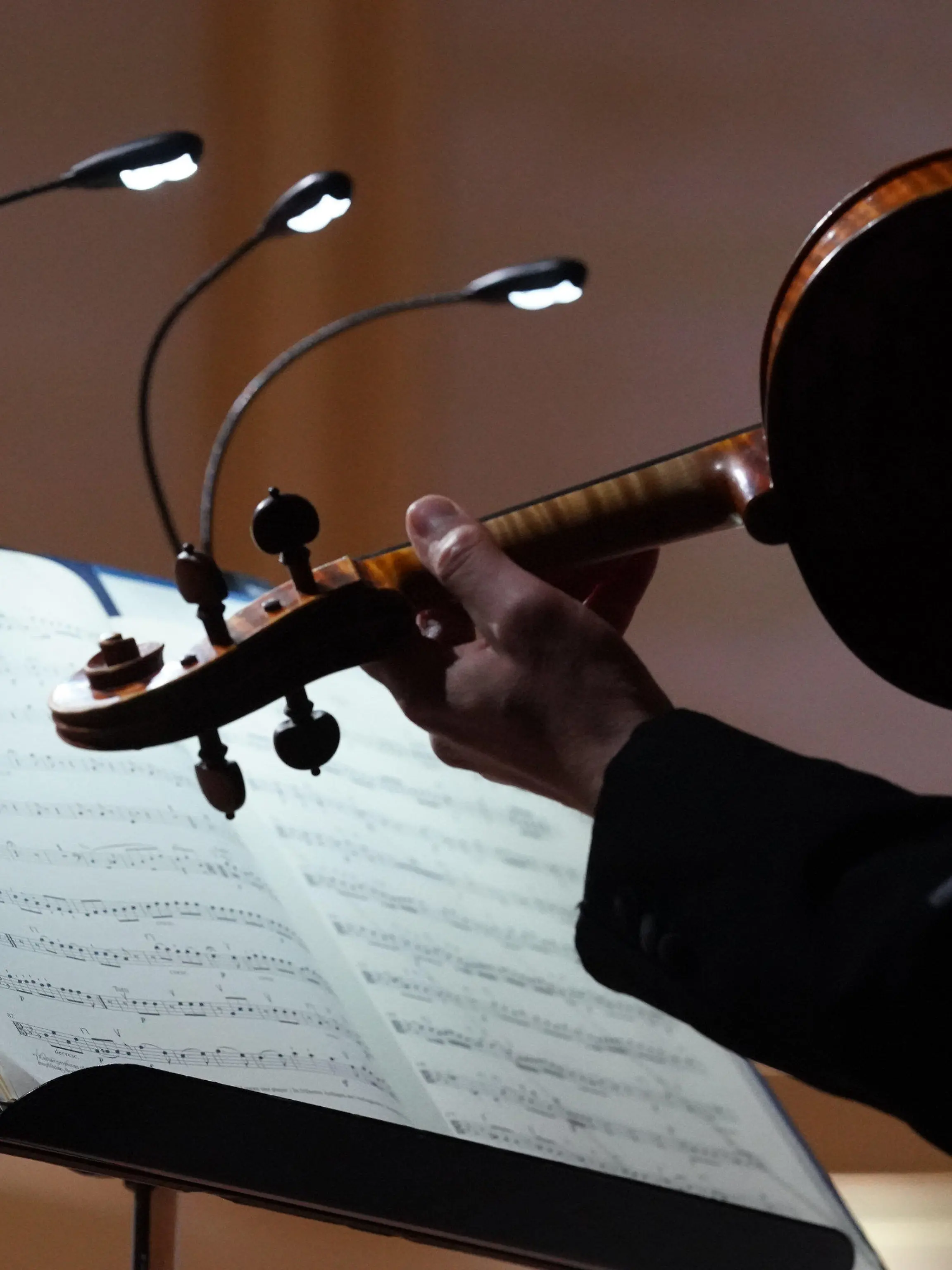 ARCHIV - 20.05.2021, Hamburg: ILLUSTRATION - Ein Orchestermusiker spielt   Ludwig van Beethovens 3. Sinfonie während einer Probe. (zu dpa: «Leistungsdruck, Kontrolle und Patzer: Hoher Druck in Orchestern») Foto: Marcus Brandt/dpa +++ dpa-Bildfunk +++