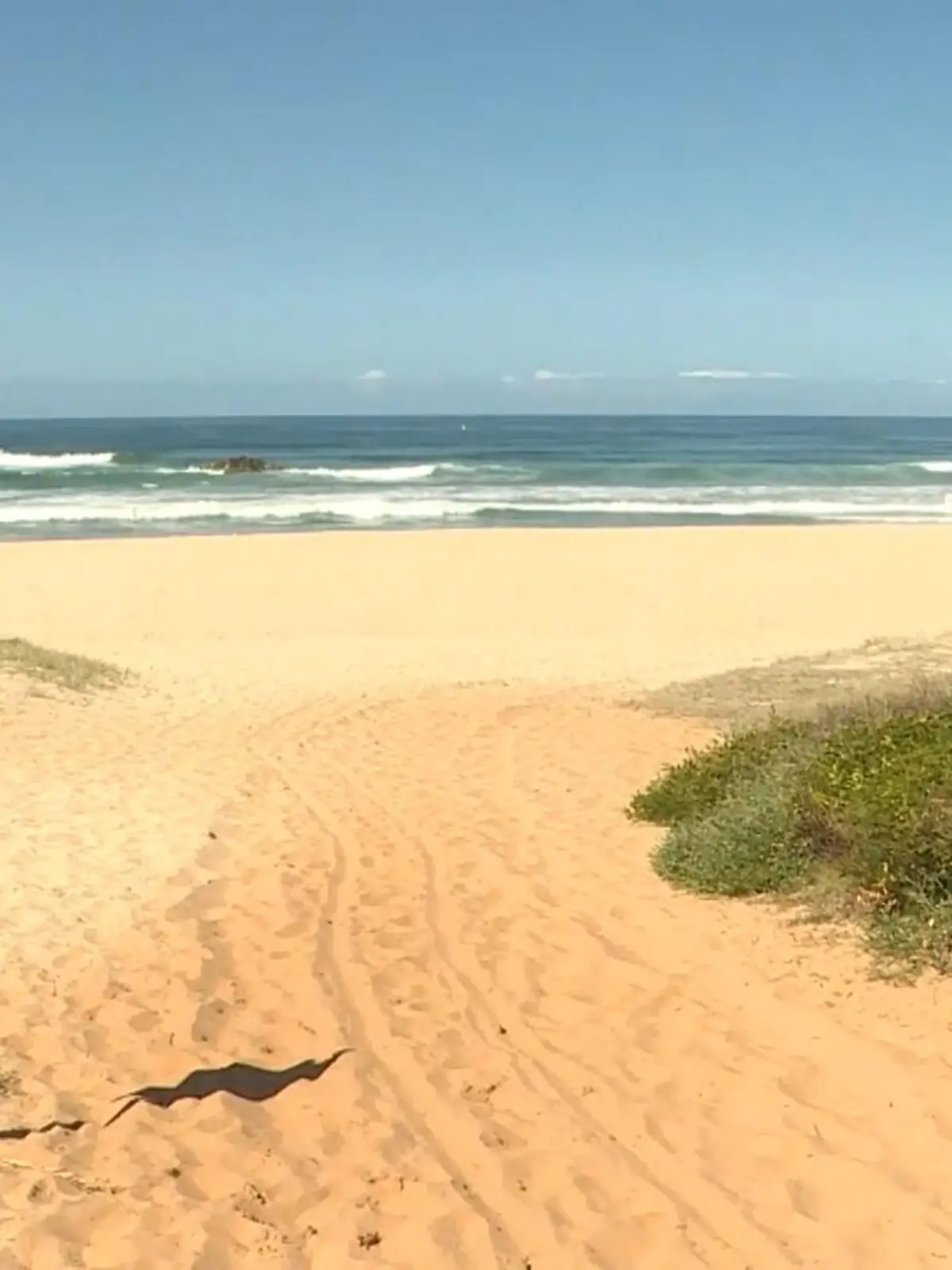 Toby Begg wurde während einer Surf-Session von einem ca. 4 Meter langen weißen Hai attackiert. Eine Augenzeugin konnte nichts tun.