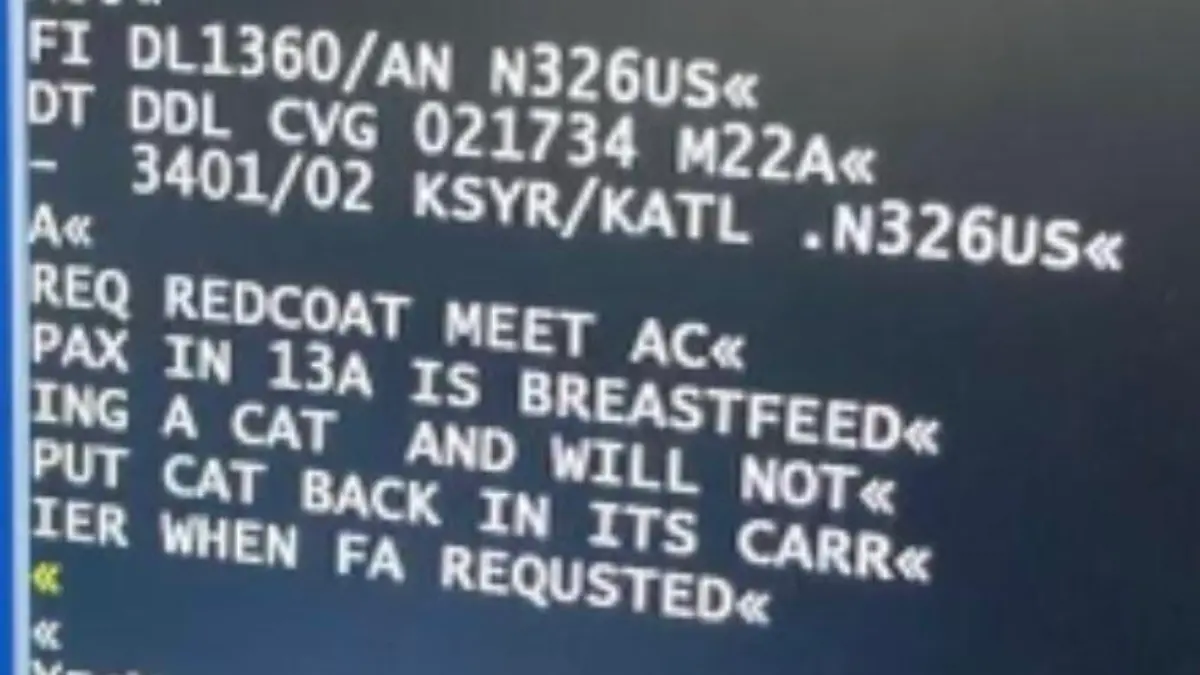 Frau stillt Katze Flugzeug