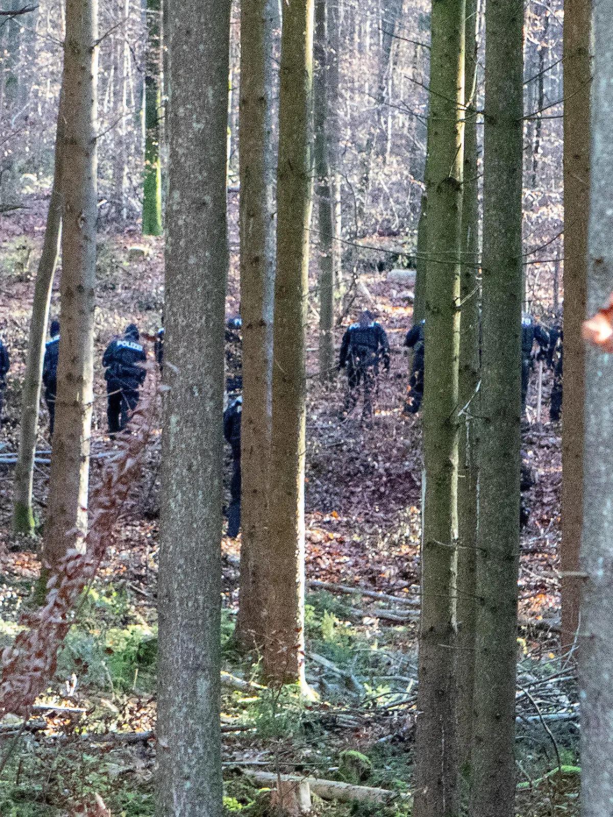23.11.2021, Bayern, Kipfenberg: Polizisten durchsuchen ein Waldstück. Ein Waldarbeiter hatte dort einen Knochen gefunden - Ermittler fanden nun heraus, dass er von der vermissten Engelbrecht stamme, sagte ein Sprecher des Polizeipräsidiums München am Dienstag. Foto: Friedrich/Vifogra/dpa +++ dpa-Bildfunk +++
