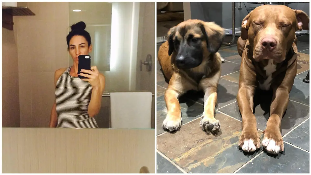 Tiffany Frangione wurde von ihren eigenen Hunden getötet.