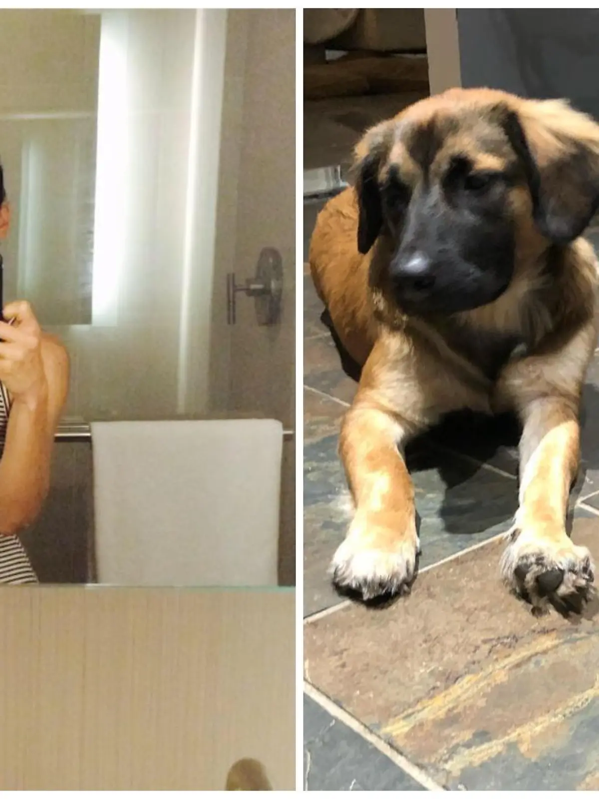 Tiffany Frangione wurde von ihren eigenen Hunden getötet.