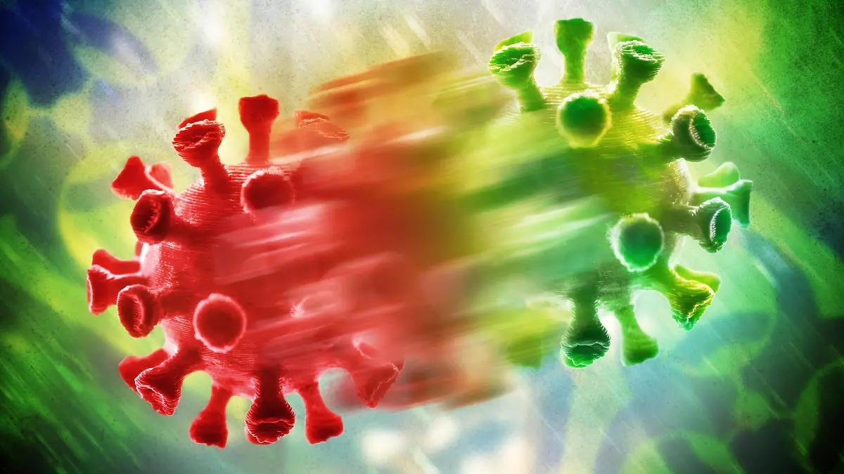  FOTOMONTAGE, Mutierender Coronavirus, Symbolfoto Virus-Mutation *** PHOTOMONTAGE, mutating coronavirus, symbol photo virus mutation