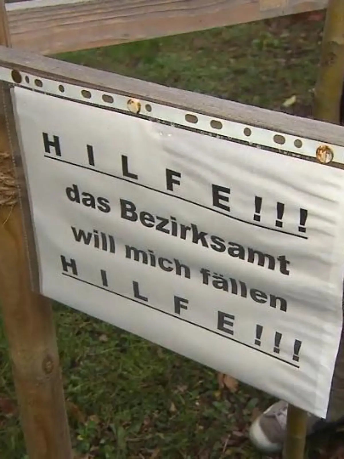 Die frisch gepflanzten Mini-Bäume in der Gubitzstraße im Berliner Stadtteil Prenzlauer Berg müssen weg! Obwohl die Anwohner damit der Umwelt etwas Gutes tun wollten, gibt's jetzt Stress mit der Stadt. Aber wieso eigentlich?