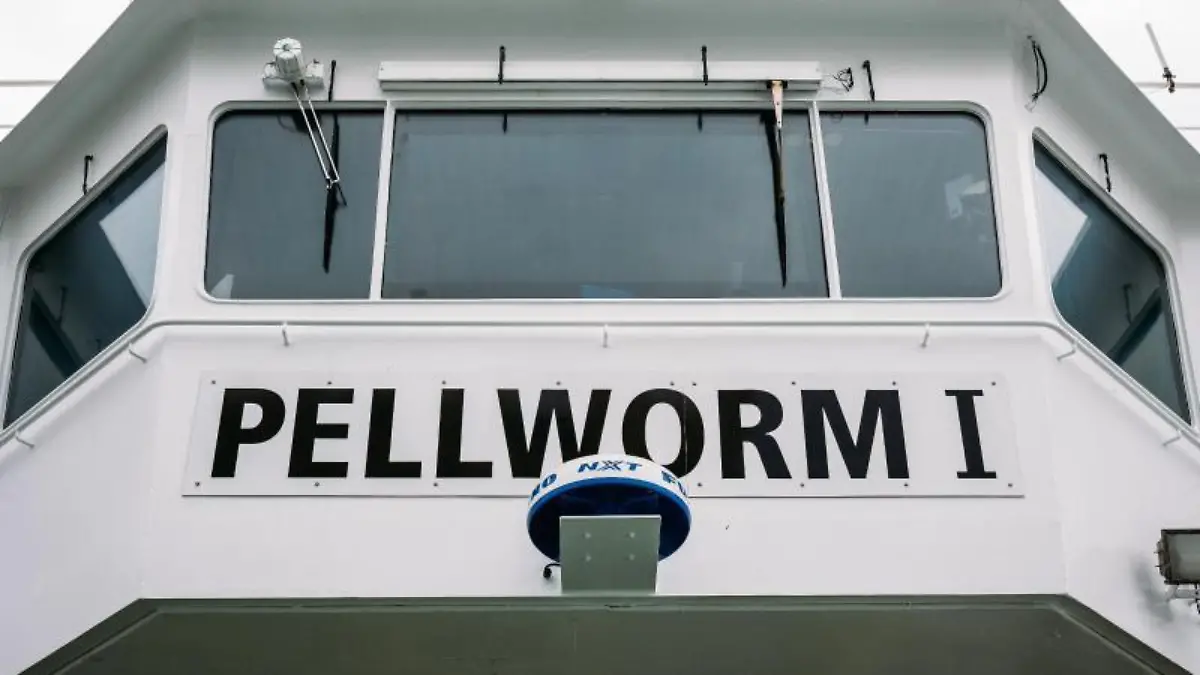 Pellworm und Wallsbüll gewinnen Bundeswettbewerb