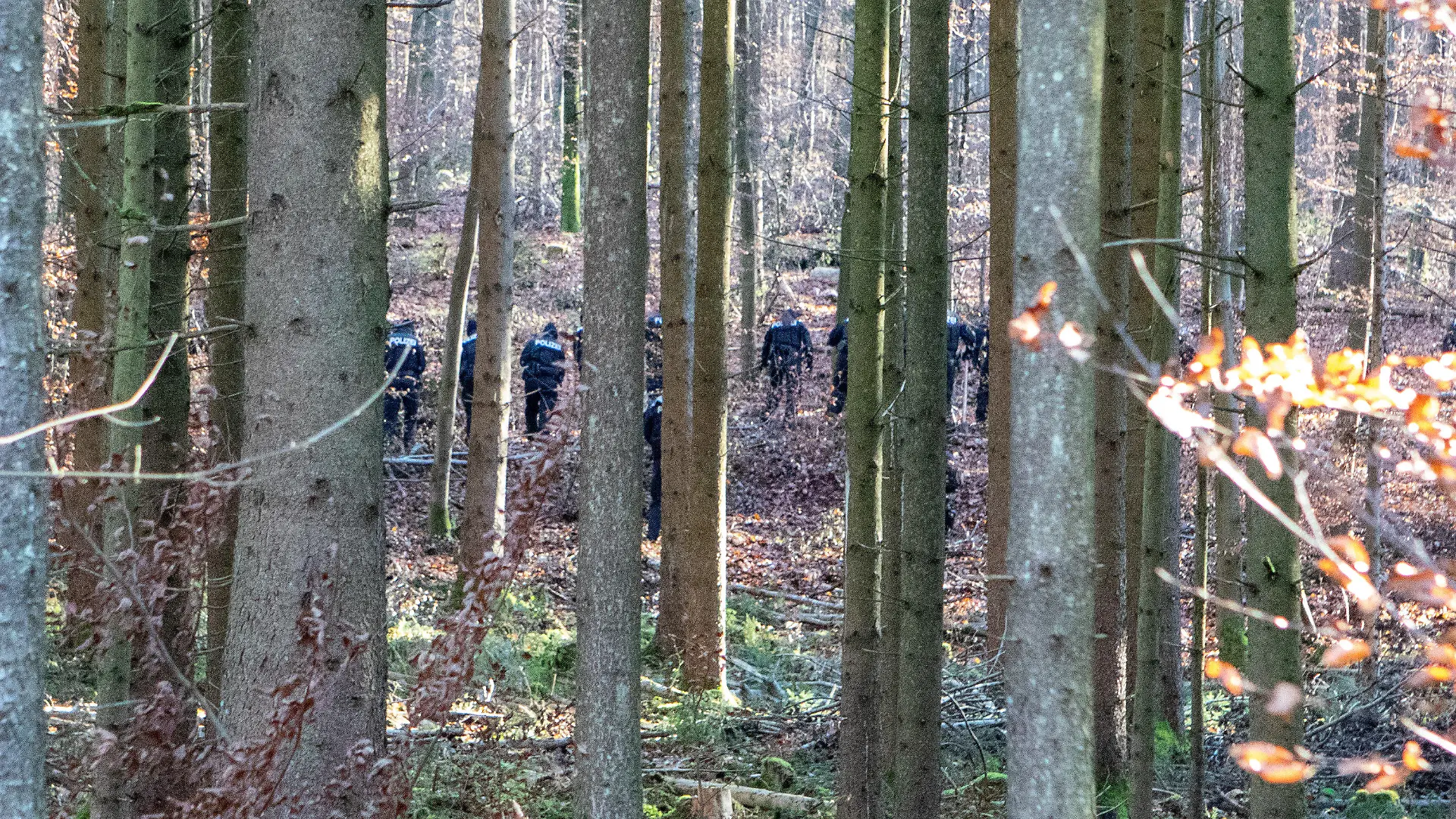 23.11.2021, Bayern, Kipfenberg: Polizisten durchsuchen ein Waldstück. Dort wurde am Dienstag ein Knochen der seit 1995 vermissten Sonja Engelbrecht gefunden. Foto: Friedrich/Vifogra/dpa +++ dpa-Bildfunk +++