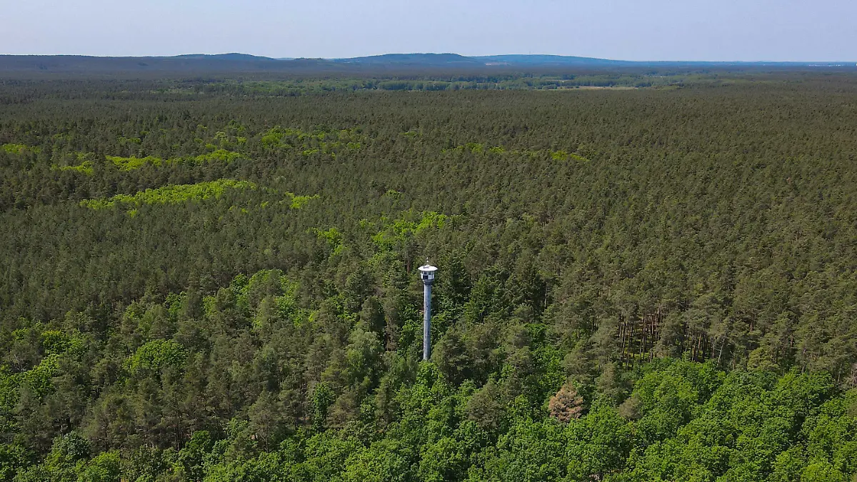 26.05.2023, Brandenburg, Briesen: Ein Feuerwachturm mit Funktechnik und Kamera zur Überwachung von Bränden ist in einem großen Waldgebiet nahe Briesen (Mark) vom Landesbetrieb Forst Brandenburg zu sehen (Luftaufnahme mit einer Drohne). Mit den steigenden Temperaturen nimmt jetzt auch in Brandenburg die Gefahr von Waldbränden wieder zu. Zwei Waldbrandzentralen in Wünsdorf (Teltow-Fläming) und Eberswalde (Barnim) überwachen das Geschehen im Land. Foto: Patrick Pleul/dpa +++ dpa-Bildfunk +++