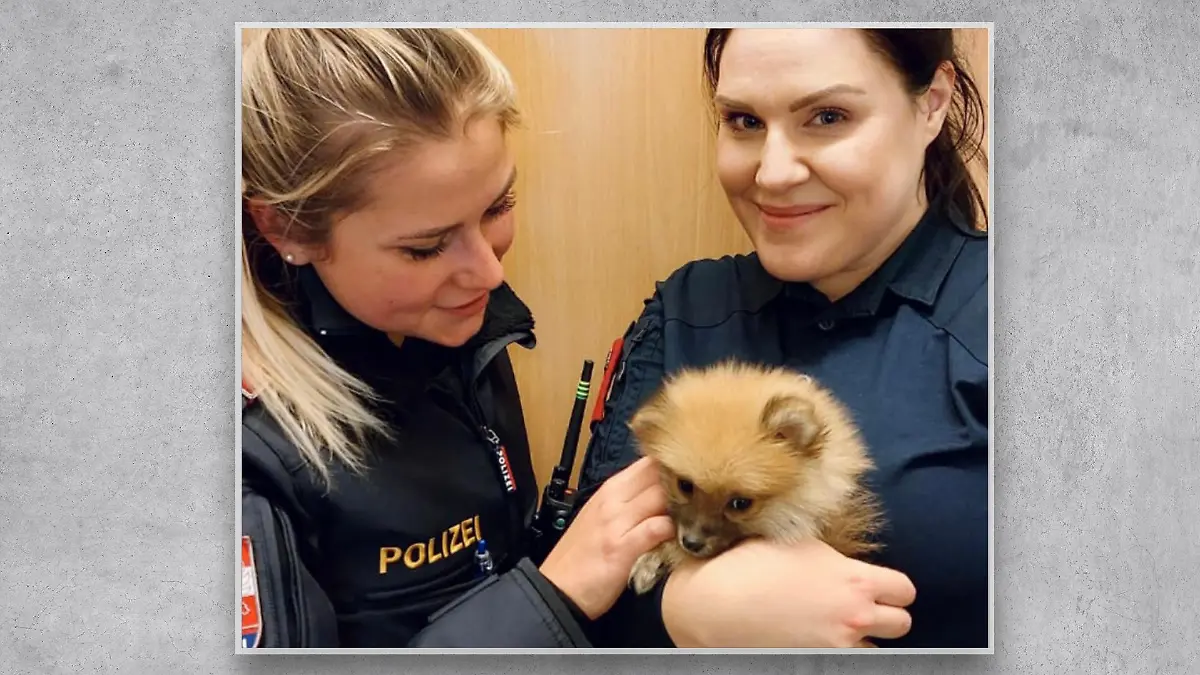 Zwei Polizistinnen mit einem Hundwelpen.