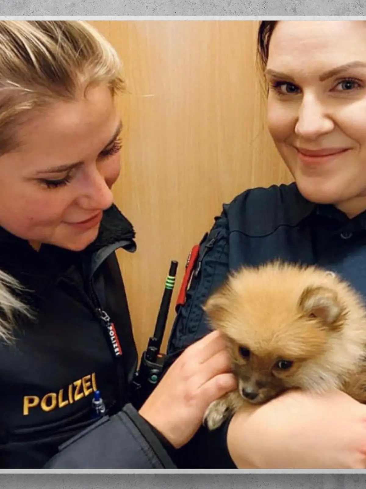 Zwei Polizistinnen mit einem Hundwelpen.