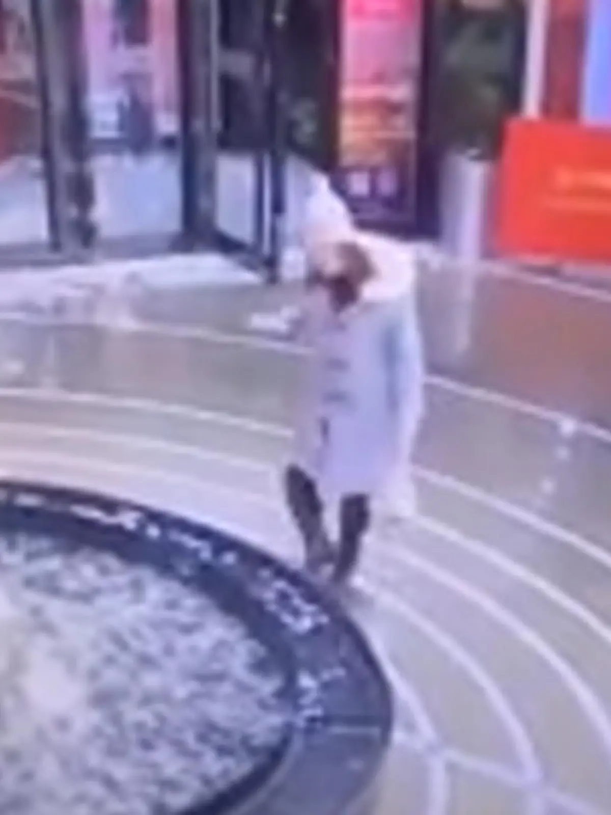 Die junge Italienerin spielt völlig selbstvergessen mit ihrem Smartphone in einem Einkaufszentrum. Dabei übersieht sie den Brunnen im Shoppingparadies...