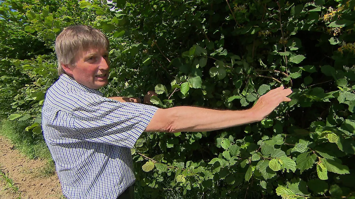 Der Landwirt Heiner Staggen steht vor einer grünen Hecke.