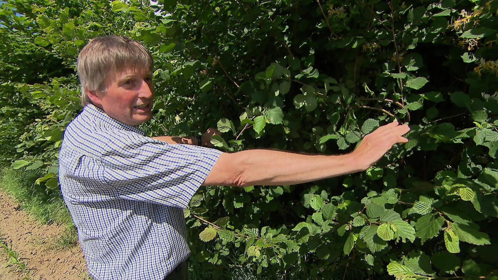 Der Landwirt Heiner Staggen steht vor einer grünen Hecke.