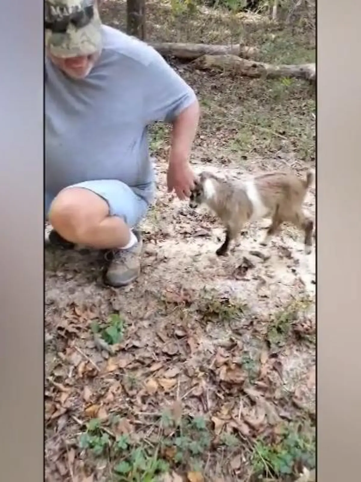 Diese Ziege aus Alabama hat beschlossen, keine Besucher in ihrem Zuhause zu dulden und versucht mit aller Kraft, den Mann aus dem Gehege zu werfen.