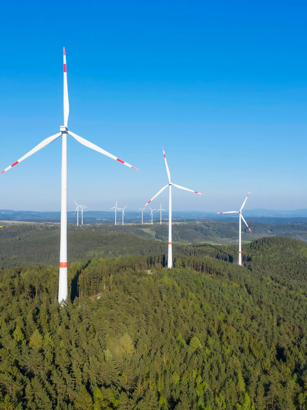  Drone view of forest wind farm in spring RUEF03351