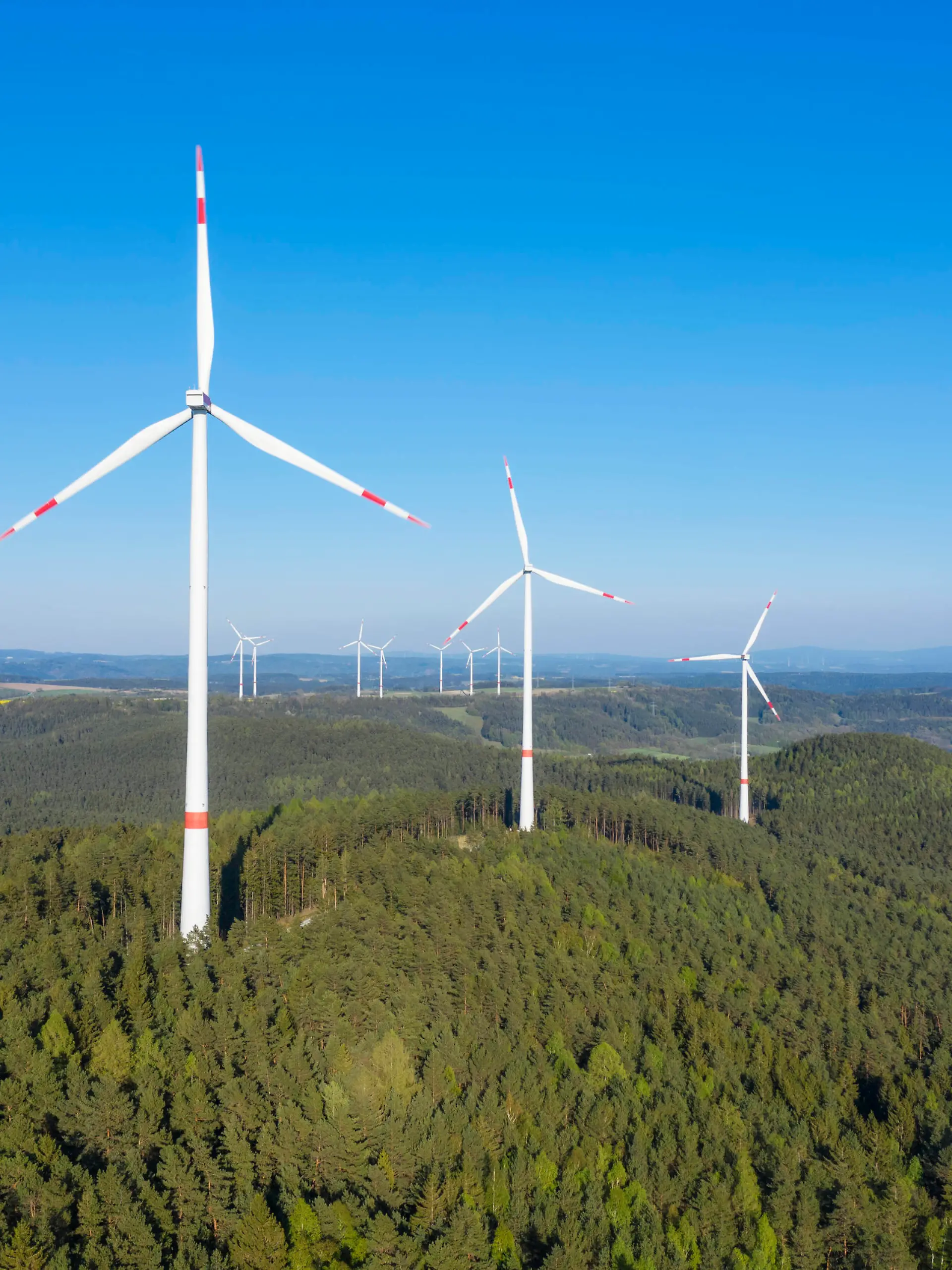  Drone view of forest wind farm in spring RUEF03351
