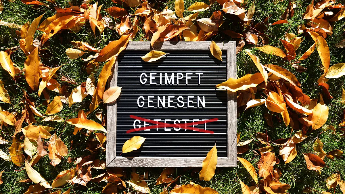 FOTOMONTAGE, Schild mit Aufschrift geimpft und genesen im Herbstlaub, Symbolfoto 2G-Regel *** PHOTOMONTAGE, sign with inscription vaccinated and recovered in autumn leaves, symbol photo 2G rule