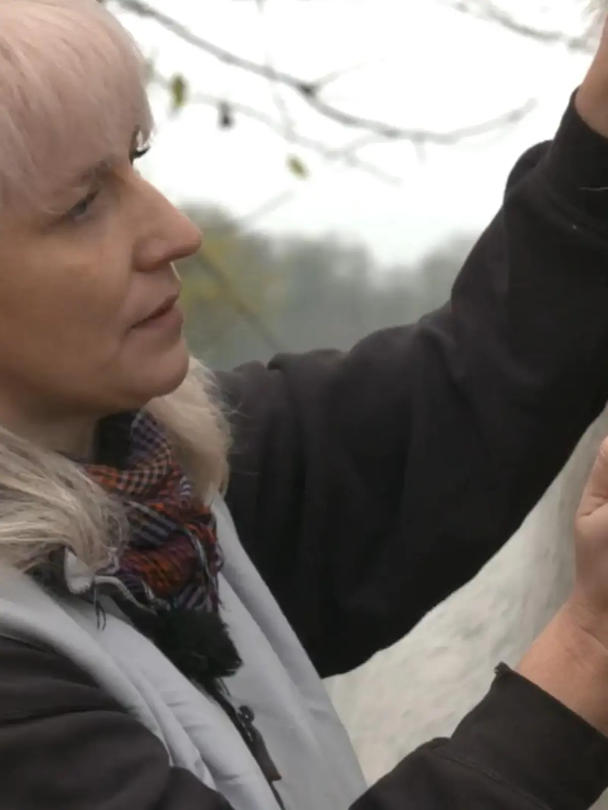 Der Tierarzt hatte Stute Luna schon fast aufgegeben. Sie brauche eine Pause, wenn das nicht hilft, müsse sie zum Schlachter. Für Besitzerin Anne Ebert und ihre Tochter kam das nicht in Frage. Anne Ebert engagierte Pferdephysiotherapeutin Svea Serwiak-Lödel und die hat wahre Wunder bewirkt, wie unser Video zeigt.