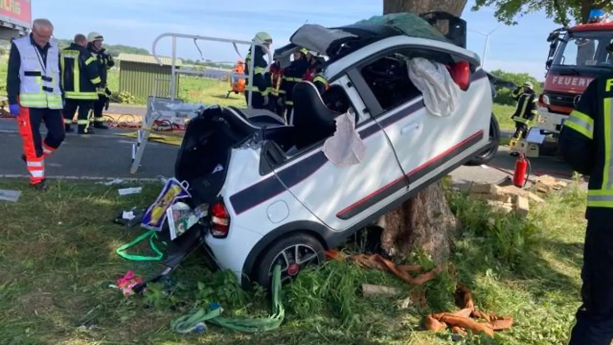 Twingo am Straßenbaum