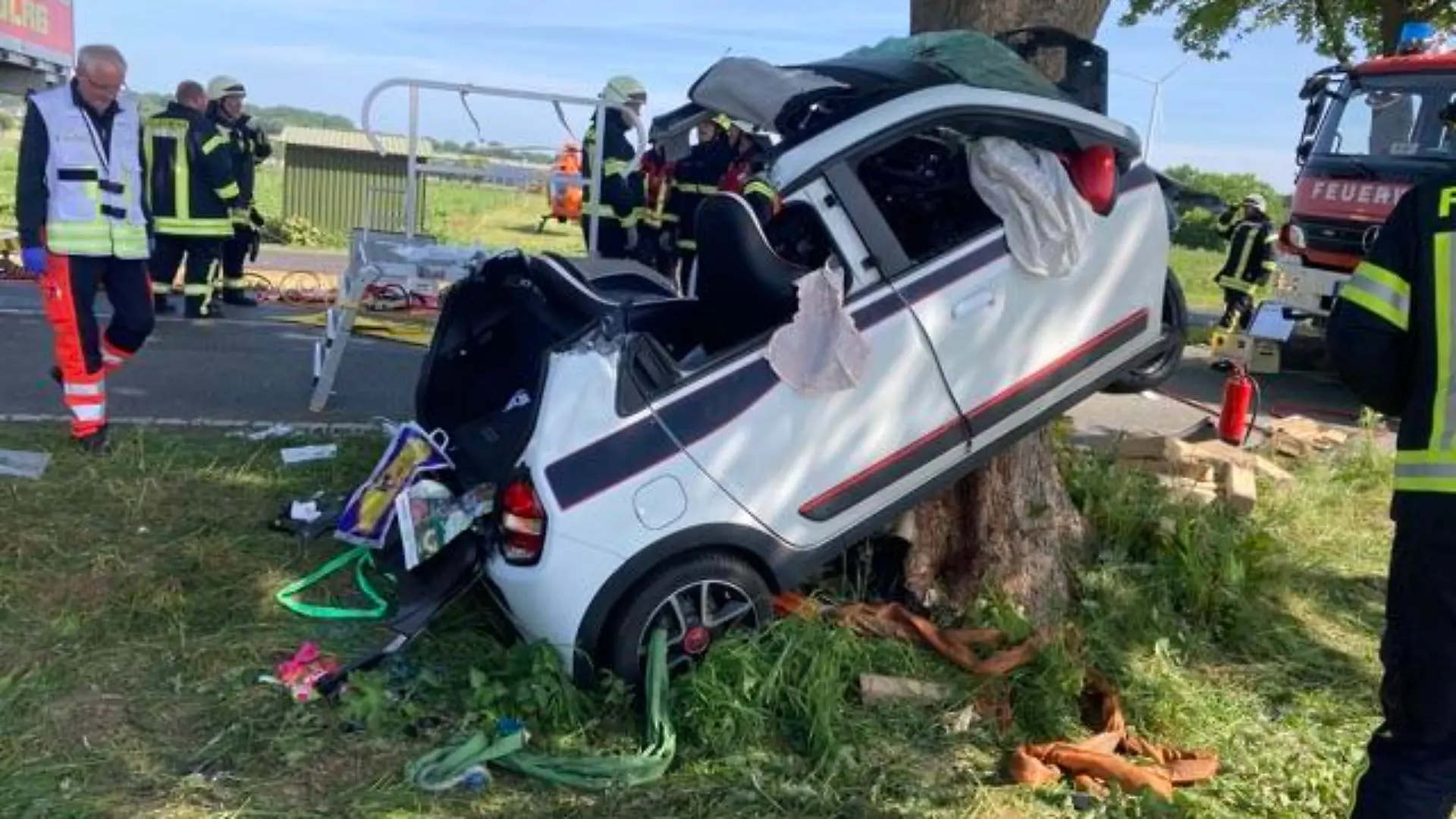 Twingo am Straßenbaum