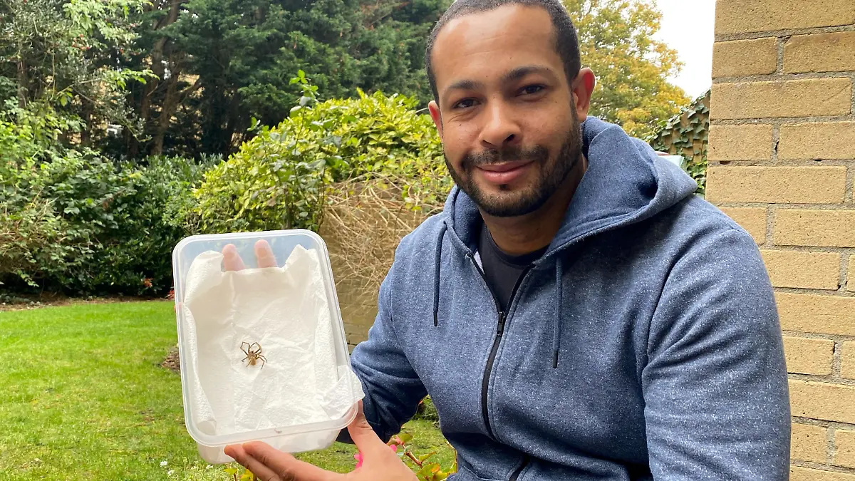 SONDERKONDITIONEN: Satzpreis!
Joe Stein with the Brazilian wandering spider he found in some bananas. See SWNS story SWSYspider; A taxi driver believes a Brazilian wandering spider - the world's most venomous - fell out of his bag of supermarket bananas. When Joe Stein, 37, opened his bag of bananas on Wednesday (10/11) morning he discovered a "dark mass" hanging from the fruit. On closer look, he saw it was a two-inch long spider that was still moving and twitching. Joe, from Beckenham, Kent, said: "I sort of had to refocus my eyes so I could see his big bony, hairy legs.