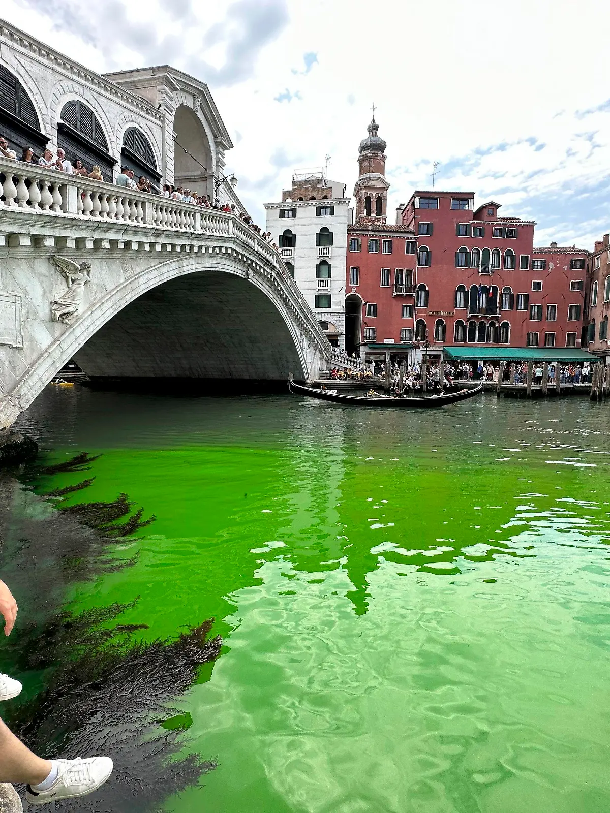 28.05.2023, Italien, Venedig: Eine grün schimmernde Flüssigkeit im berühmten Canale Grande von Venedig hat für Aufregung in der Lagunenstadt gesorgt. Die italienische Feuerwehr teilte mit, zusammen mit der Umweltschutzagentur Arpa Proben entnommen zu haben und diese zu untersuchen. Foto: Luigi Costantini/AP/dpa +++ dpa-Bildfunk +++