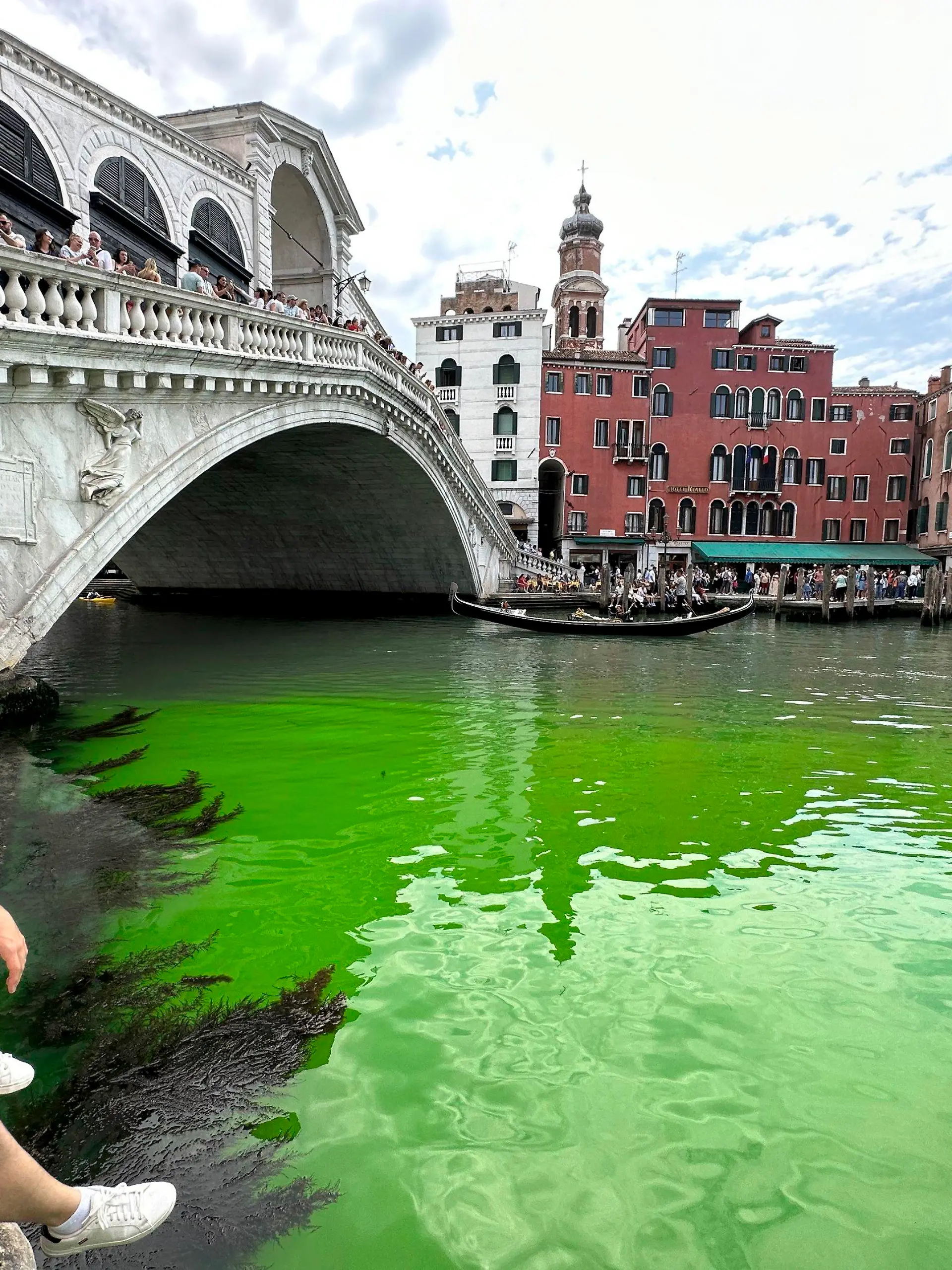 28.05.2023, Italien, Venedig: Eine grün schimmernde Flüssigkeit im berühmten Canale Grande von Venedig hat für Aufregung in der Lagunenstadt gesorgt. Die italienische Feuerwehr teilte mit, zusammen mit der Umweltschutzagentur Arpa Proben entnommen zu haben und diese zu untersuchen. Foto: Luigi Costantini/AP/dpa +++ dpa-Bildfunk +++