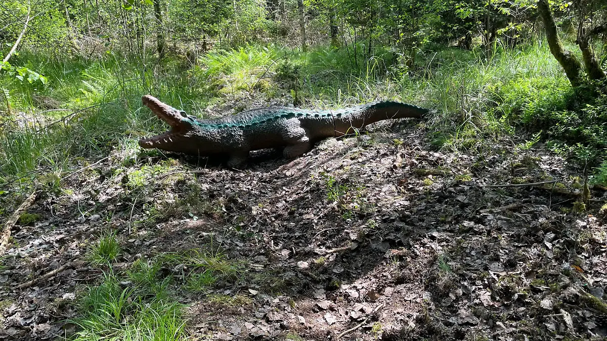 Von Weitem dachte die Frau, dass es sich bei diesem Krokodil um ein echtes handelt.
