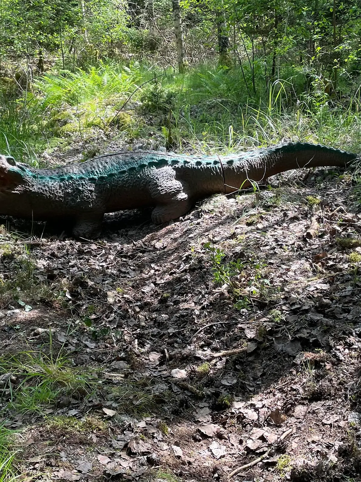 Von Weitem dachte die Frau, dass es sich bei diesem Krokodil um ein echtes handelt.